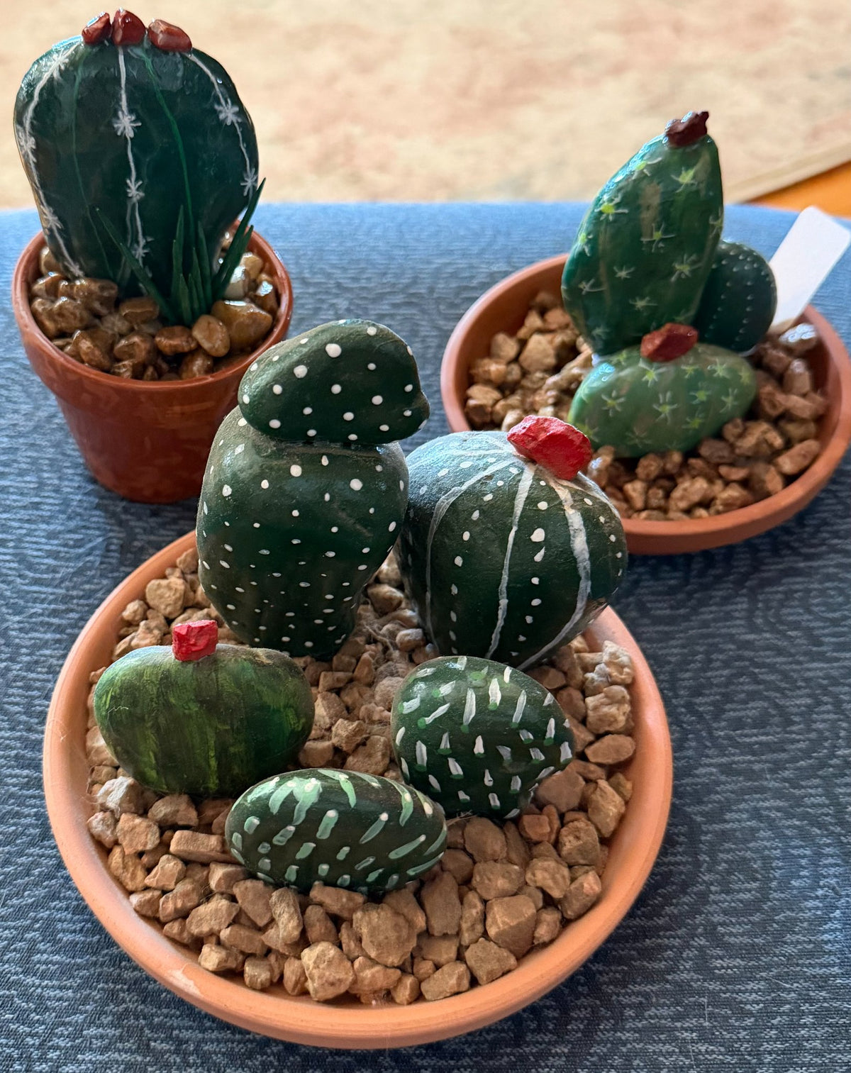 6a9702374ca3c703b88147da_img-2399_1788710907102.jpeg